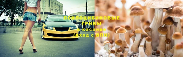 марки lsd Богданович