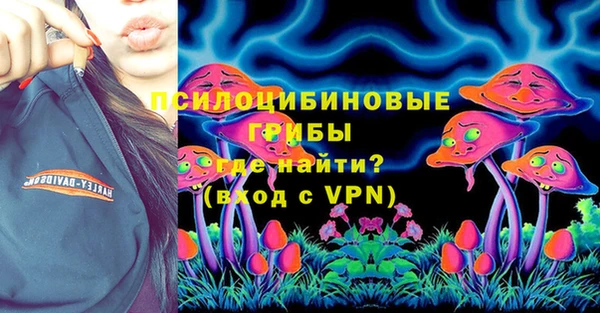 прущая мука Богородицк