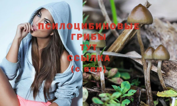 прущая мука Богородицк