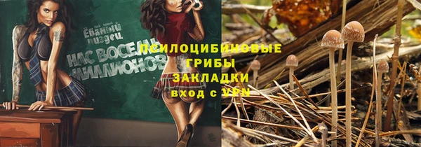 марки lsd Богданович