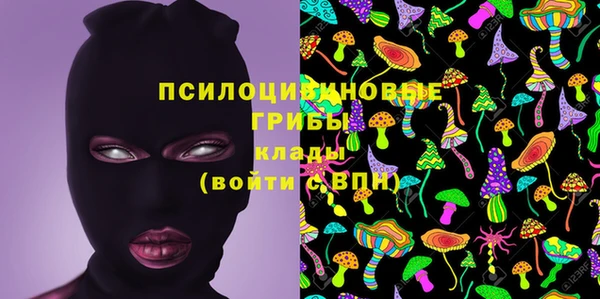 марки lsd Богданович