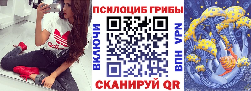 Псилоцибиновые грибы ЛСД Кузнецк